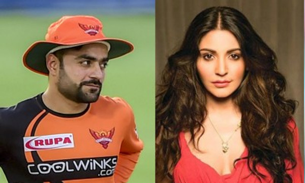 afghan cricketer rasheed khan wife is anushka google search shows 