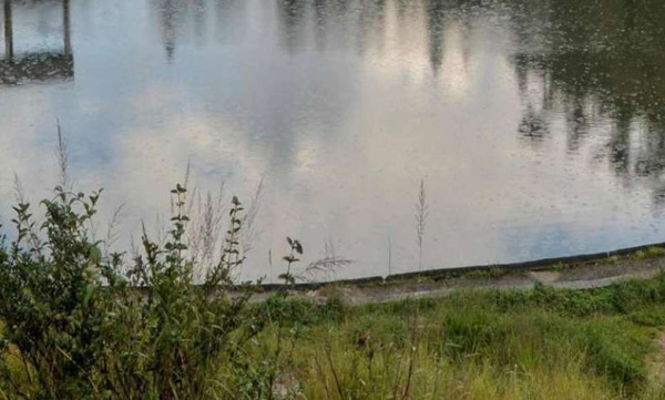 father try to kill one year old child got arrested 