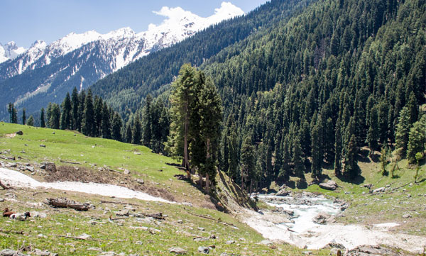 pakistan plan to neutralist telecom blackout in Kashmir