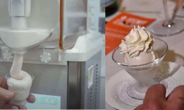 meat flavoured ice cream