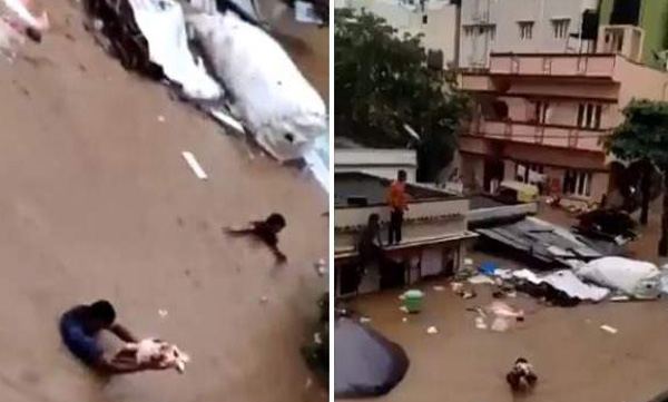 bangalore rain rescuing child video viral 