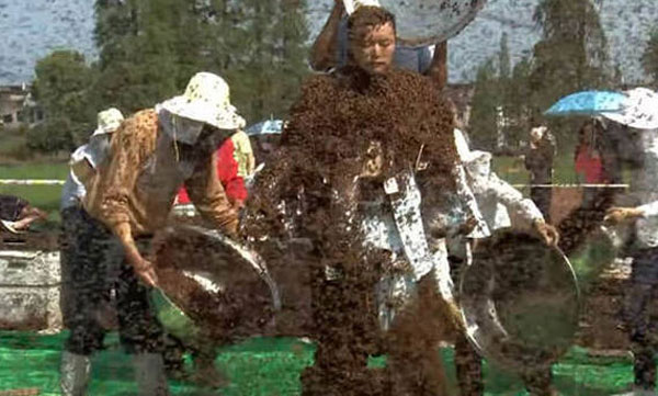 man covers himself with over 6 lakh bees