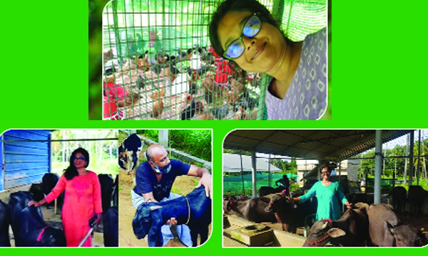 Interview with Actress Manju Pillai