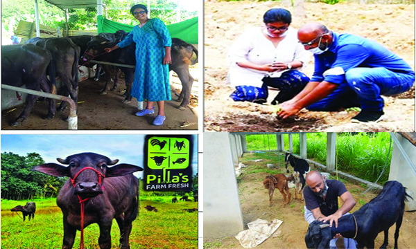 Interview with Actress Manju Pillai