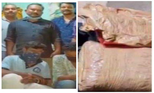 Drugs caught from kollam