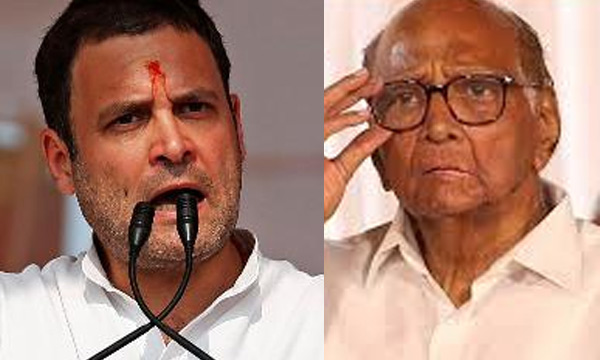 Sharad Pawar casts doubts on Rahul Gandhi'