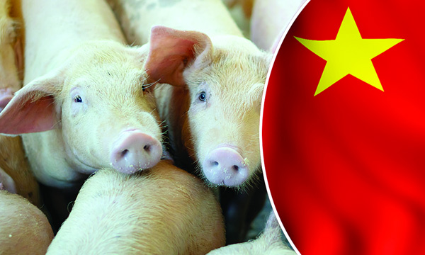 china against muslim