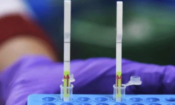 latest covid test 