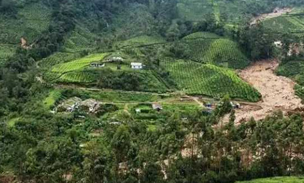 Huge Eviction at Munnar and Vagamon