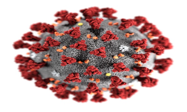 Corona virus stay for 10 years in world