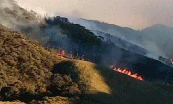 wildfire in nagalands dzukou range spreads to manipur