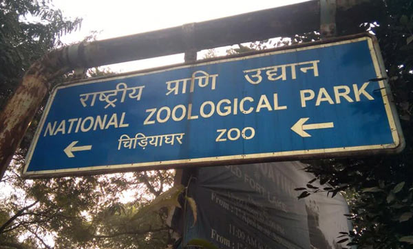 First Case Of Bird Flu Detected In Delhi Zoo
