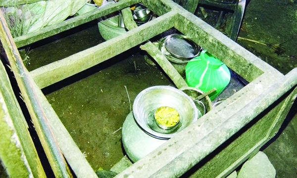 cruelty against perants