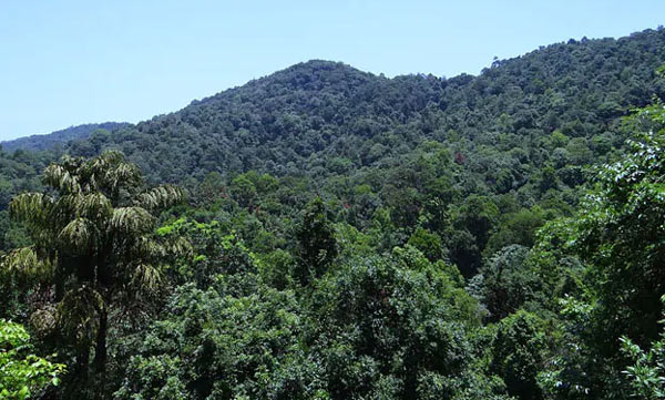 6 Migrant Workers Dead After Falling Into Pit In Meghalaya Forest