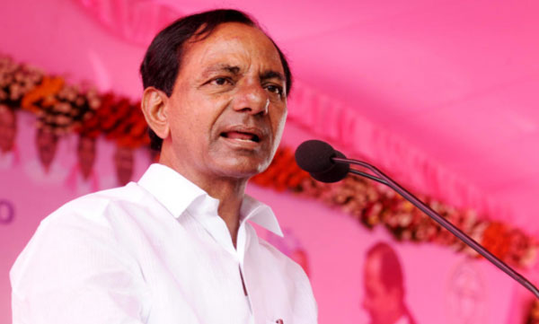 Lots of Dogs Like You; Telangana CM Hits Out at Protesters