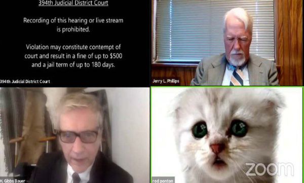 cat filter on, judge calls it profession's dedication