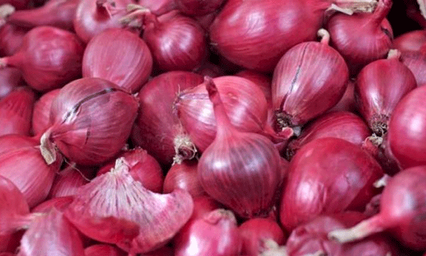 onion prices hike