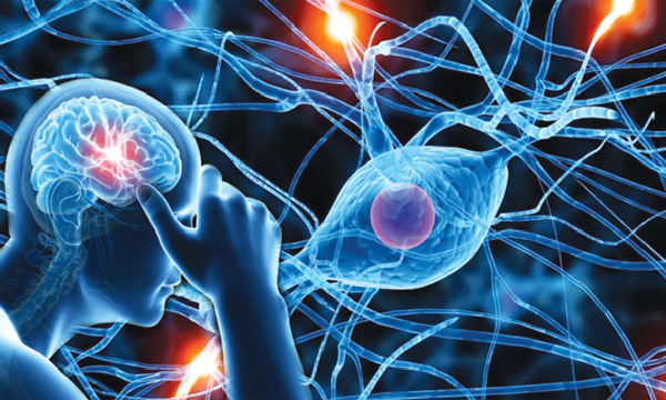 Neurological Problem Symptoms, Causes and Effects