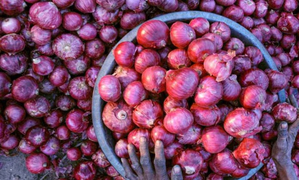 Man arrested for frauding 