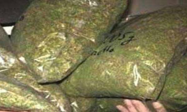 New York Legalizes Recreational Marijuana