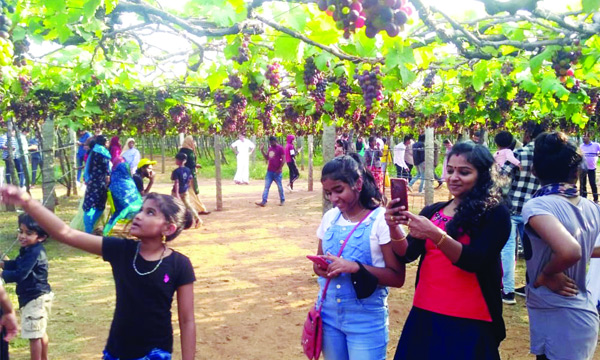 malayalees to tamilnadu