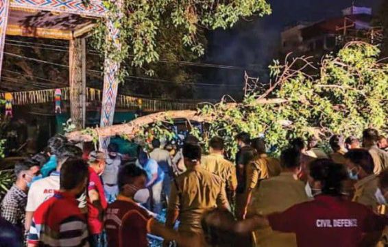 Tree falls on procession at Thrissur Pooram