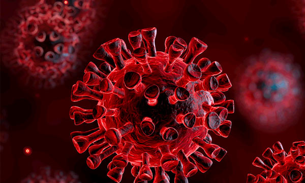 Health worker dies in Wayanad