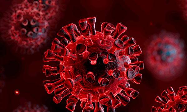 there is no question that the virus is an indian variant center with explanation in who report 