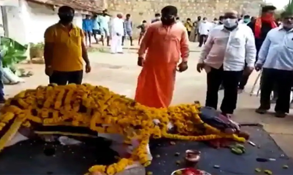 Hundreds gather for ‘divine’ horse’s funeral