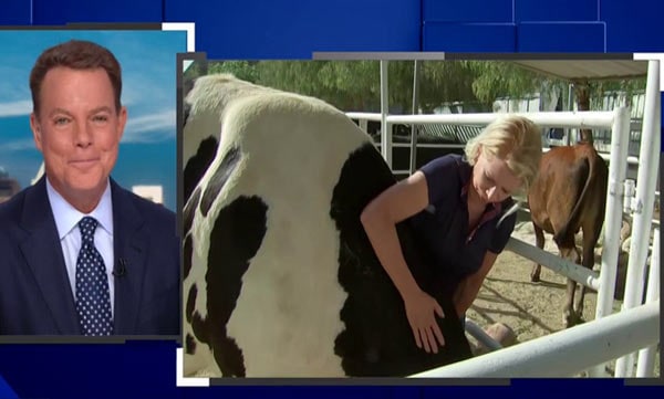 is hugging animals becoming a wellness trend in a covid world 