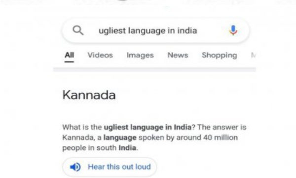 Karnataka government against google 