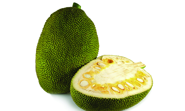 jackfruit health benefits
