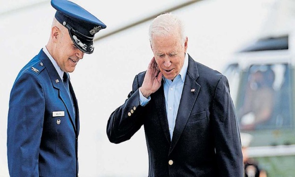 Cicadas attack in america 