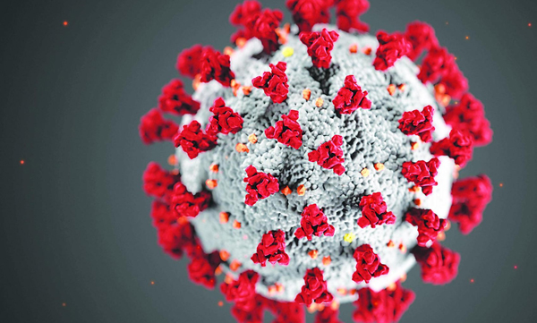 The Covid Delta variety is highly diffuse; Center warns three states including Kerala