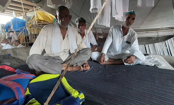 End It: Agriculture Minister Appeals As Farmers' Protest Enters 8th Month