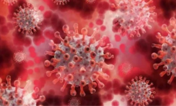 Delta plus in kerala 