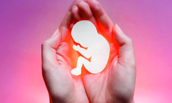 pregnancy abortion symptoms
