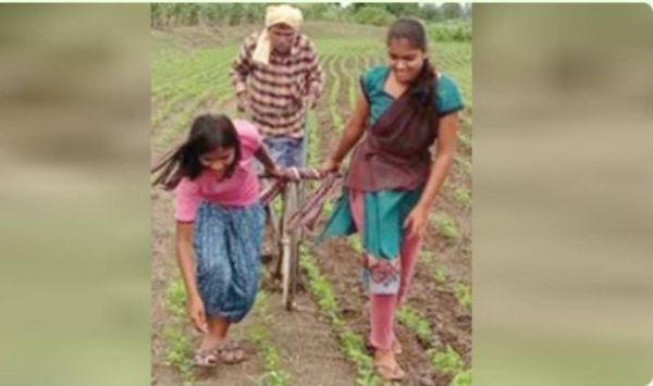 farmer who ploughed fields with daughters