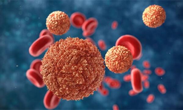 Zika virus: Five more cases reported in Kerala, total tally rises to 28