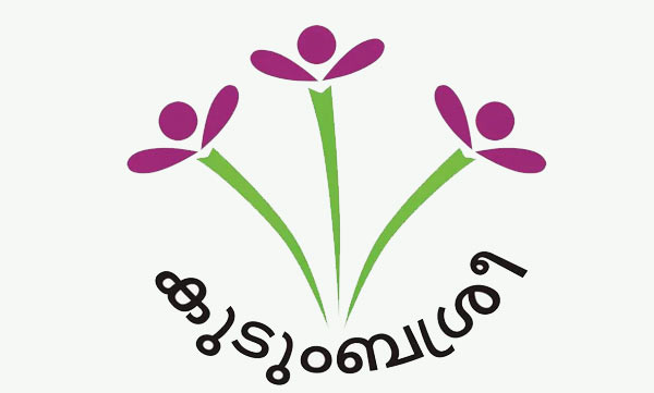 Kudumbasree conducts webinar for youth