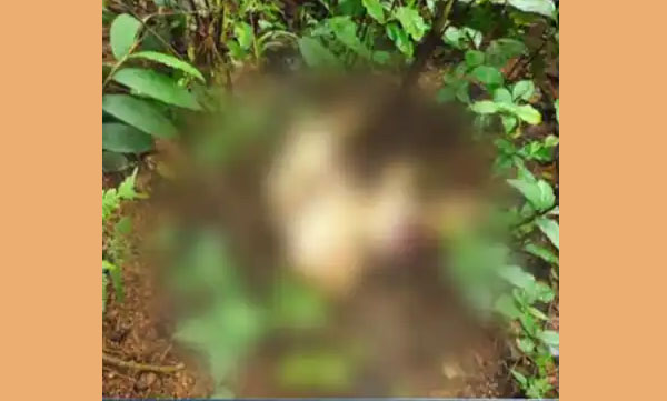 Man's body found in sack in canal