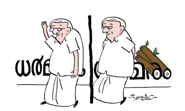 tree felling case- enquiry report