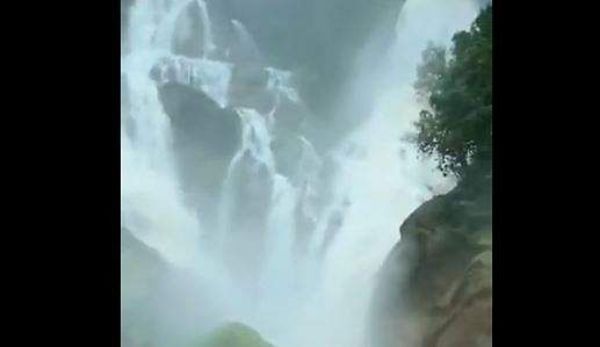 Viral waterfalls video 