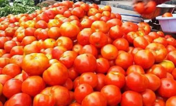 Tomato prices fall in Tamil Nadu 