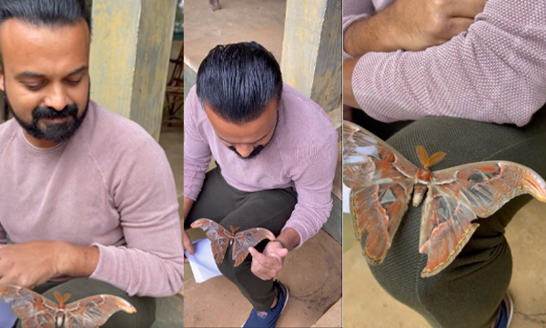 Kunchakko Boban shares a video of Bheeman Nagashalabham through 'Bheemante Vazhi '