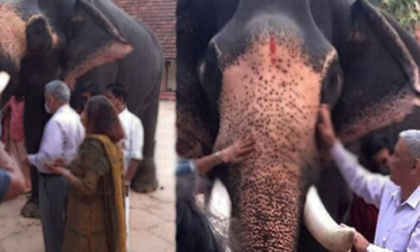bipin-rawath-visited-guruvayoor-temple