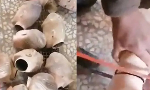 women-mannequins-being-beheaded-in-afghanistan