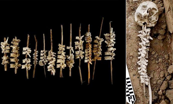 archaeologists-discover-500-year-old-human-spines-threaded-onto-sticks-in-peru