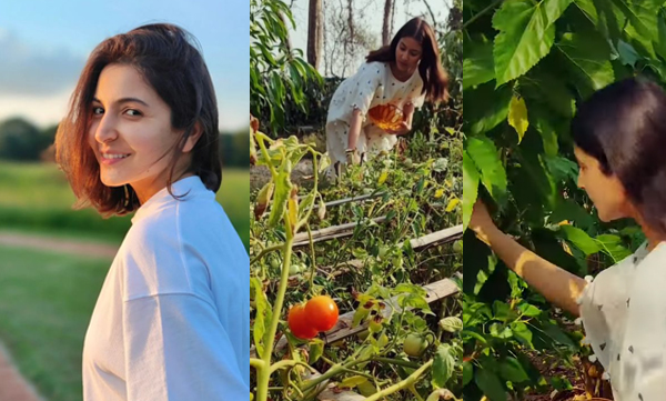 Anushka sharma shares tomato jam making video on social media