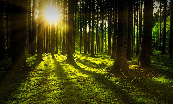 how-vitamin-d-deficiency-affects-our-body-what-are-the-health-problems